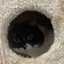 ちはるのプロフィール画像