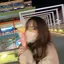 seriのプロフィール画像