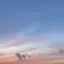 さ りのプロフィール画像