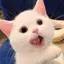 さのプロフィール画像