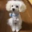 美香のプロフィール画像