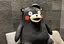 柚樹のプロフィール画像