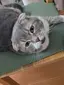 おーちゃんのプロフィール画像