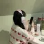 みーたんのプロフィール画像