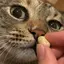 moooozuのプロフィール画像