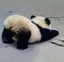 haruのプロフィール画像