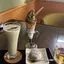 ほうじ茶ラテのプロフィール画像