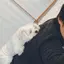 리카のプロフィール画像
