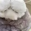 やまのプロフィール画像