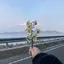 モのプロフィール画像