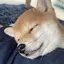 ユッキーのプロフィール画像