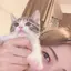 Shocoのプロフィール画像