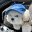 pomのプロフィール画像