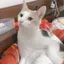 はるのプロフィール画像