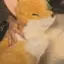 なちのプロフィール画像