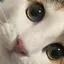 bibiのプロフィール画像