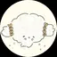 楓のプロフィール画像