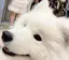 えりかのプロフィール画像