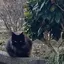 なる之助のプロフィール画像