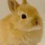 Krのプロフィール画像