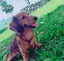 ふみふみのプロフィール画像