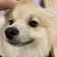 いらぶのプロフィール画像