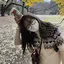 みゆのプロフィール画像