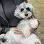 沙織のプロフィール画像