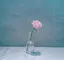 松のプロフィール画像