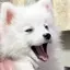 monaのプロフィール画像