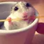 わかなのプロフィール画像