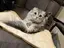 ヘルシーババアのプロフィール画像