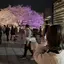 りなぴょんのプロフィール画像
