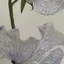 🤍のプロフィール画像