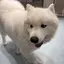 なかののプロフィール画像