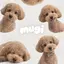 aのプロフィール画像