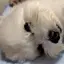 ゆかのプロフィール画像