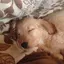 エミリのプロフィール画像