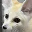 こざくらのプロフィール画像