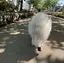 uyuのプロフィール画像