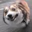 ゆのプロフィール画像
