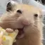 はるのプロフィール画像