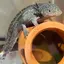 さぁのプロフィール画像