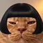 にゃこのプロフィール画像