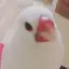 みかのプロフィール画像