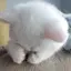 Takaのプロフィール画像