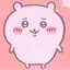 バニラちゃんのプロフィール画像