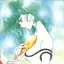 Rabiのプロフィール画像