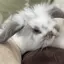 kaortuのプロフィール画像