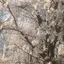 満智のプロフィール画像